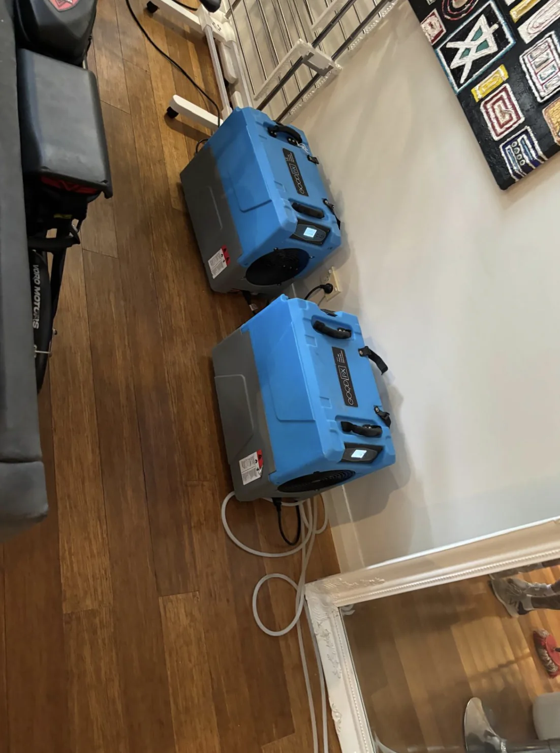 Commercial air movers operating over timber flooring