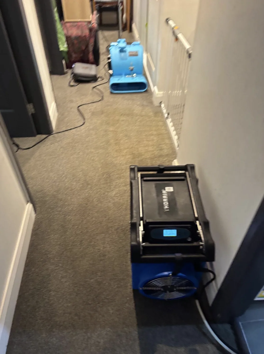 Specialist drying unit positioned on affected carpet