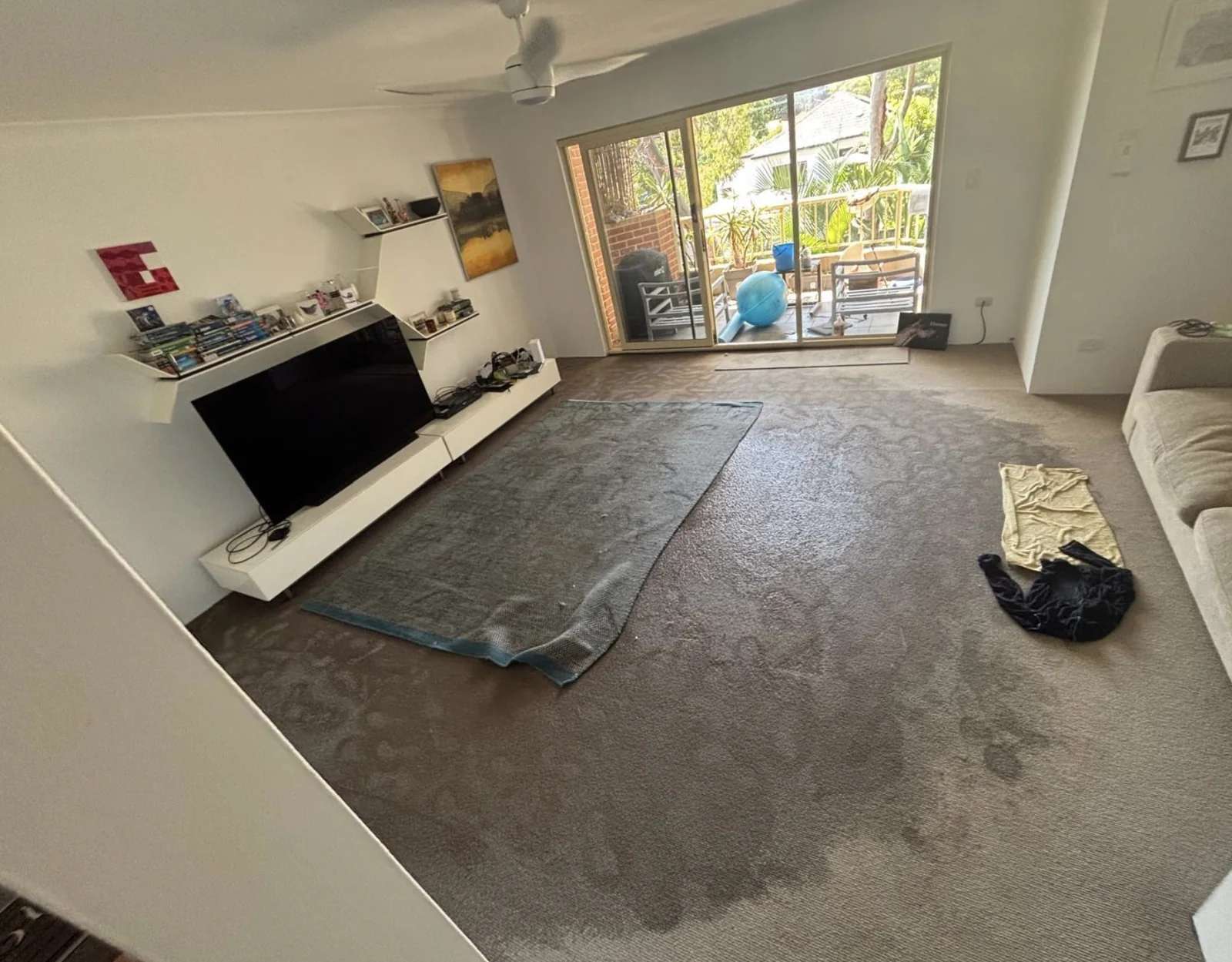 Carpet lifted to allow targeted drying beneath the floor covering