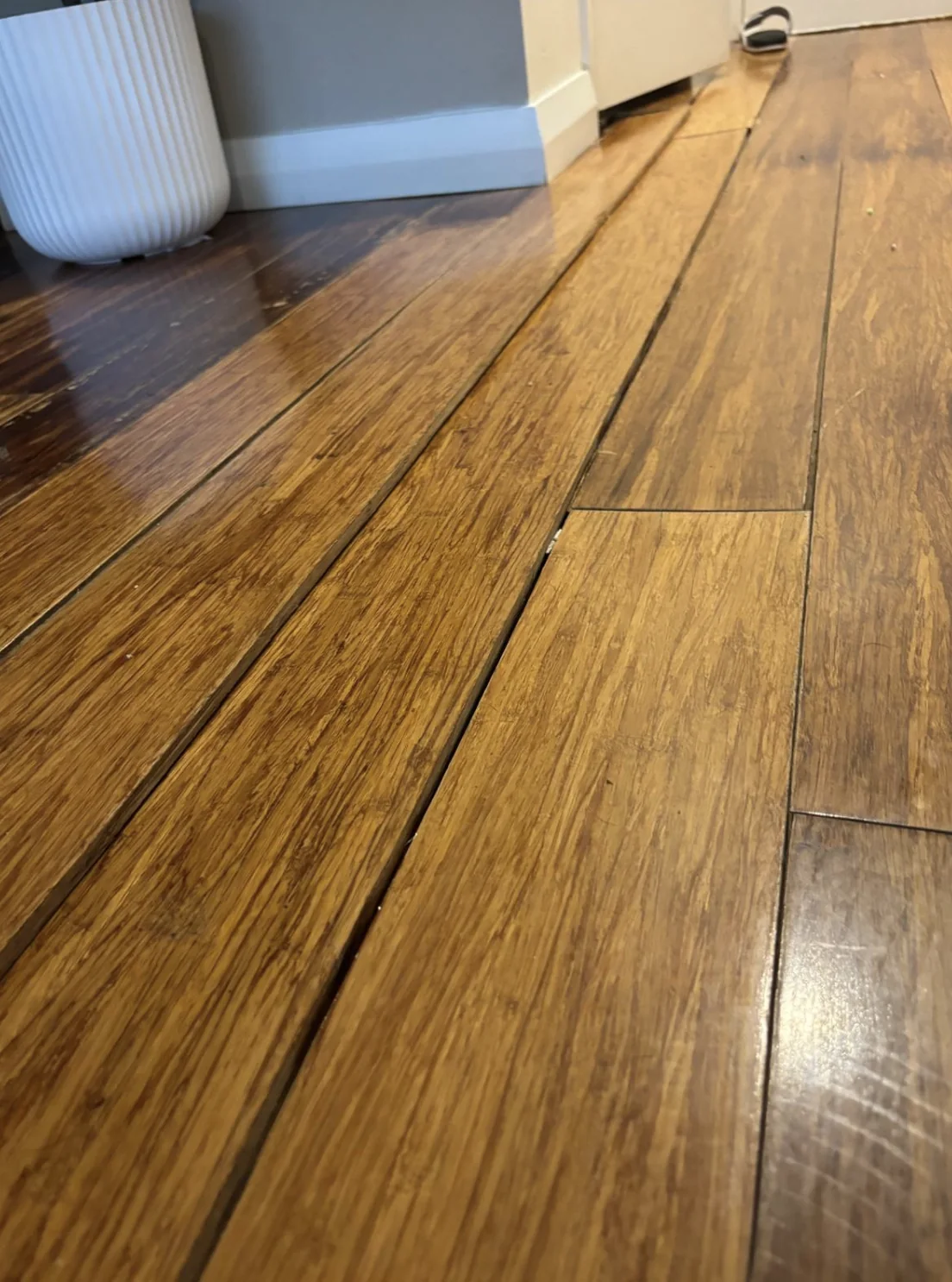 Timber flooring showing signs of water damage