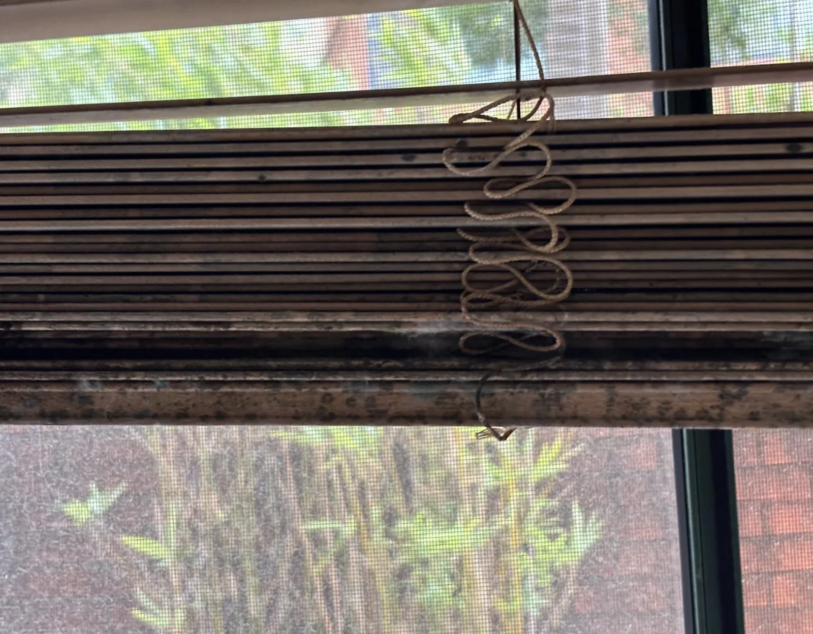 Inspection of a window treatment affected by moisture