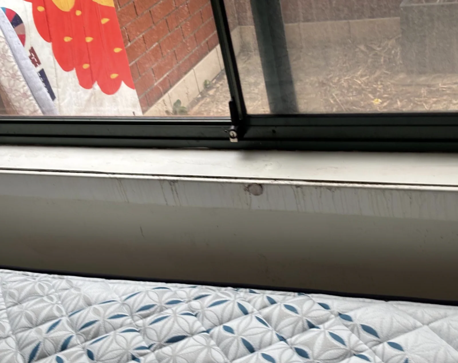 Water damage inspection around a window and wall junction